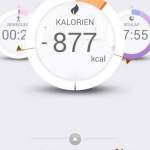 Pulsense View App Kalorien